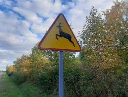 znak drogowy &quot;uwaga na dzikie zwierzęta&quot;.