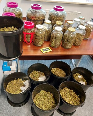 marihuana zabezpieczona przez policjantów we wiadrach i szklanych słoikach