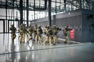 ćwiczenia Wolf-Ram 2023