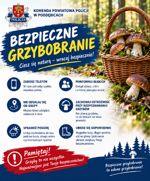 Plakat dotyczący bezpiecznego grzybobrania.